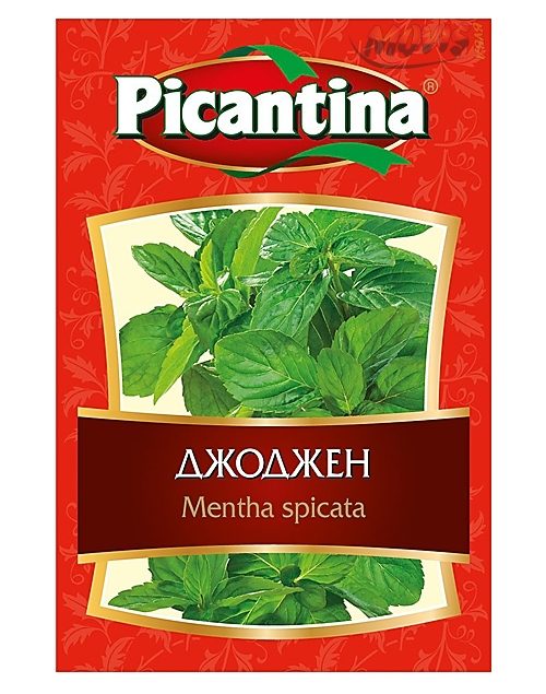 Пикантина Джоджен 7Г